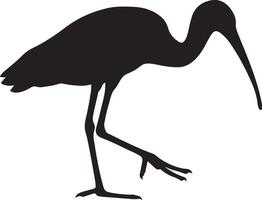 Walking ibis bird silhouette simple design, Wading bird elegant black sketch vector