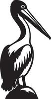 Pelican silhouette black and white bold art, Large bird in flight graphic vector