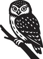 Owl perched on branch line drawing, Detailed bird in resting pose sketch vector