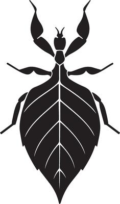 Leaf insect silhouette bold striking shape, Insect camouflage creature line art