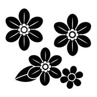 black and white floral design elements vector
