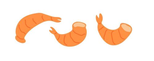 Different forms of shrimp displayed in a colorful flat design style vector