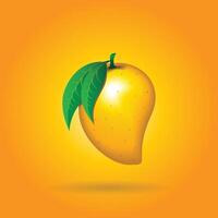 Whole and slice mango fruit with leaf, 3D realistic isolated , editable handmade vector