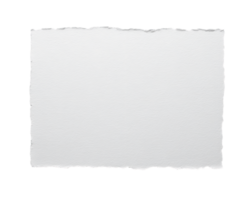 White Torn Paper Texture with Uneven Edges on Transparent Background png