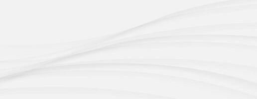 Abstract white gray wave background modern clean design concept grey curve line vector