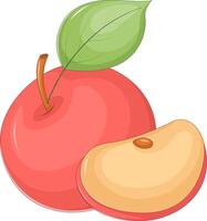Cartoon red apple with slice and green leaf vector