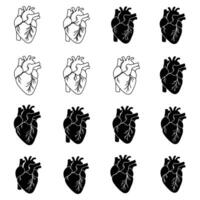 Exploring the Human Heart Anatomy Its Functions and Health vector
