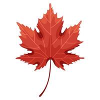 Maple leaf in autumn red color vector