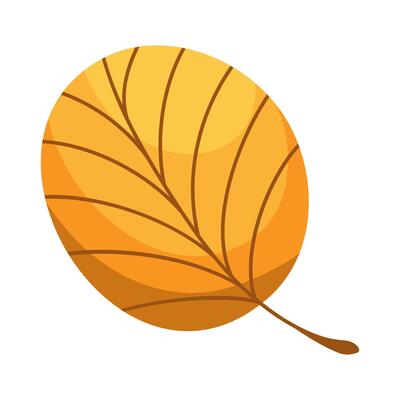 Yellow fall round leaf