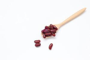 a spoon full of red beans on a white background photo