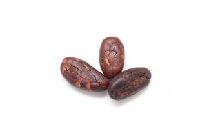 Brown cocoa beans on white background, brown cocoa beans photo