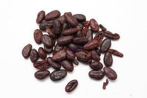 cocoa beans on white background photo