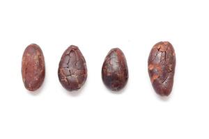 Cocoa bean, Brown cocoa beans isolated on white background photo