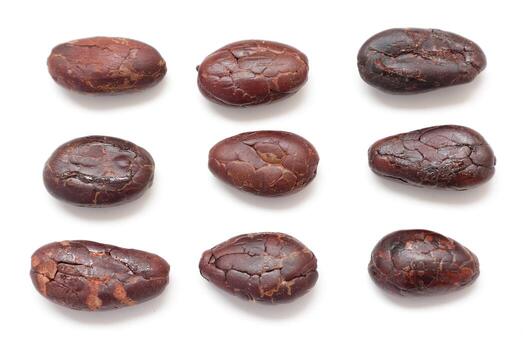 Brown cocoa beans on white background, closeup of cocoa photo