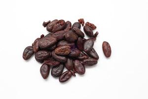 Isolate of cocoa beans, Brown cocoa beans on white background photo