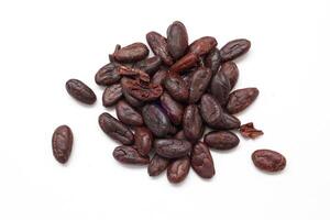 Isolated of cocoa beans chocolate photo