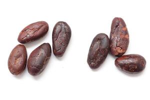 Brown cocoa beans on white background, isolated of brown beans photo