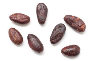 Brown cocoa beans on white background, cocoa photo