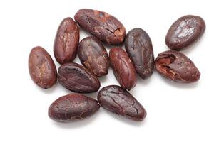 Brown cocoa beans on white background photo