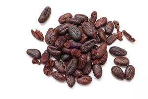 Cocoa beans, Brown cocoa beans on white background. photo