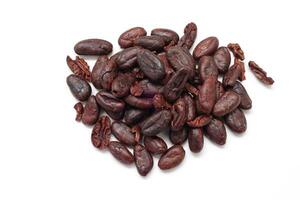 Isolated of cocoa, Brown cocoa beans on white background photo