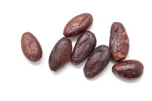 Brown cocoa beans on white background, cocoa beans with white background photo