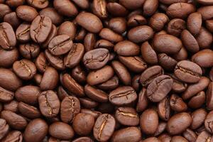 Brown roasted coffee beans pattern texture photo