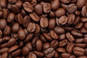 Brown beans Texture background photo