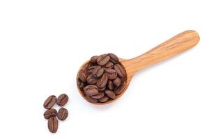 Isolated of coffee bean, Brown roasted coffee beans seeds isolated, coffee bean isolate, white background, bean isolated on white background photo