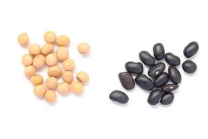 Soybeans and black beans photo