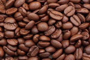 Beans Background, brown coffee beans photo