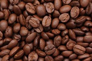 coffee beans are shown in this image photo