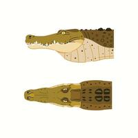 set of crocodile head illustrations isolated on white background with two views. dangerous exotic predator reptile vector