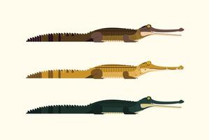 set illustrations gharials isolated on white background. Dangerous exotic predatory reptiles. vector