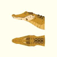 set of caiman head illustrations isolated with two views. dangerous exotic predator reptile vector