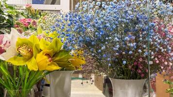 Vivid bouquets of azure gypsophila and golden orchids, evoking serene Noruz festivities and Lunar New Year celebrations photo