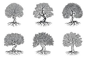 Set of Six Hand Drawn Trees with Roots and Branches in Black and White Isolated on a White Background for Graphic Design vector