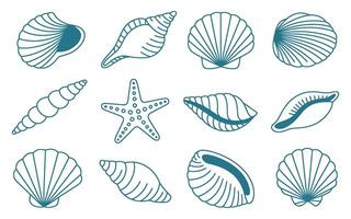 Collection of Various Seashells and a Starfish with a Simple Blue Outline Style on a White Background Perfect for Summer and Beach Themes vector