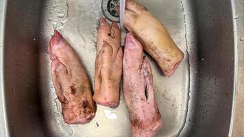 Pig trotters in stainless sink, rustic culinary preparation, nose to tail dining, traditional soul food, Lunar New Year delicacy photo
