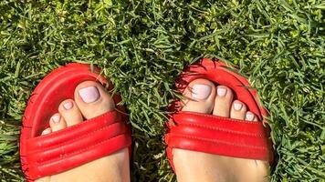 Red sandals on summer grass, evoke barefoot liberation, grounding rituals, Celtic Lughnasadh vibes, sunny freedom for Earth Day photo