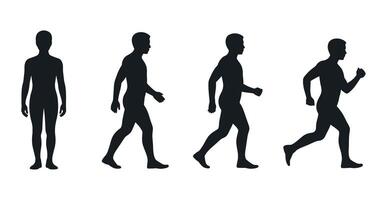 Progression of Human Movement Black Silhouettes Standing Walking Fast Walking and Running on White Background for Anatomy Exercise and Athleticism Concepts and Designs vector