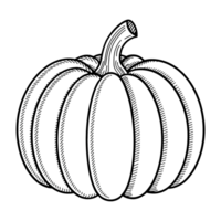 A detailed black line drawing portrays a pumpkin with visible ridges and a curved stem cutouts png