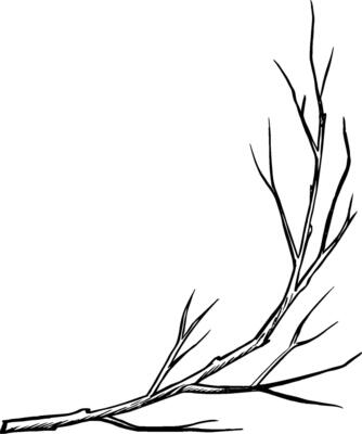 A branch of a tree without leaves. graphics. Black and white hand-drawn illustration. On a white background. Great for stickers, banners, posters and packaging, postcards, labels and prints.
