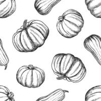 Seamless pumpkin pattern. graphics. Black and white hand-drawn illustration. On a white background. Great for textiles and packaging, postcards and labels, prints and more. vector