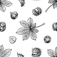Seamless pattern with chestnuts and chestnut tree leaves. graphics. Black and white hand-drawn illustration. On a white background. Great for textiles and packaging, postcards and labels. vector