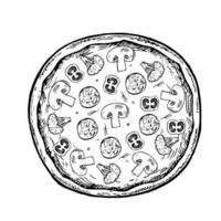 Round pizza with mushrooms and salami. graphics, hand-drawn black and white illustrations. Isolate on a white background. For recipes, menus, pizzeria decoration, packaging, and more. vector