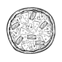 Round pizza with mushrooms and bacon. graphics, hand-drawn black and white illustrations. Isolate on a white background. For recipes, menus, pizzeria decoration, packaging, and more. vector