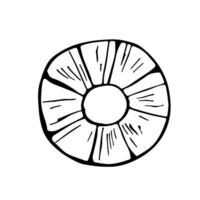 A slice of pineapple. graphics, black-and-white illustration, hand-drawn in the style of doodles. Isolate on a white background. For food, recipes, cooking and dietary design, menus and decor. vector