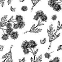 Seamless chrysanthemum flower pattern. graphics. A black-and-white hand-drawn illustration. On a white background. Great for textiles and packaging, postcards and labels, prints and more. vector