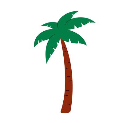 Palm tree isolated. illustration of cute hand drawn tropical tree. Palm leaves and trunk. Design element. Summer beach vacation symbol.